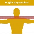 Rugók kapcsolásai